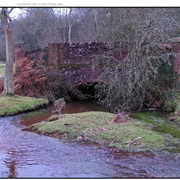 Ringwood, Hampshire, UK Nestled at the edge (now) of the New Forest, Ringwood is my home town in the UK